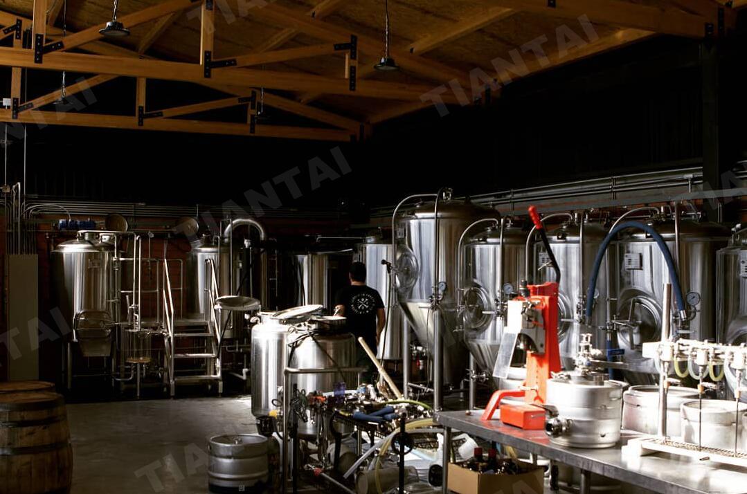 5 BBL draft micro brewery equipment start beer brewing in Mexico